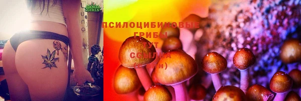 MESCALINE Бугульма
