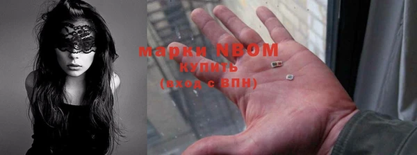 СК Бронницы