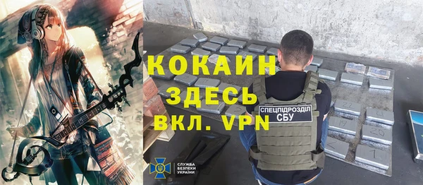 СК Бронницы