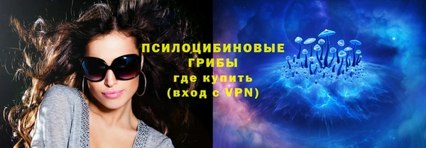 СК Бронницы