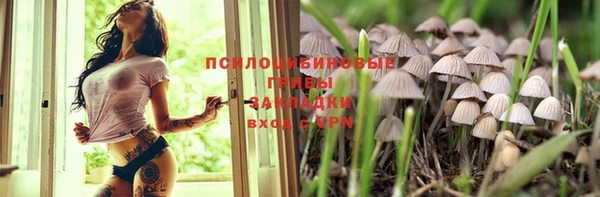 СК Бронницы